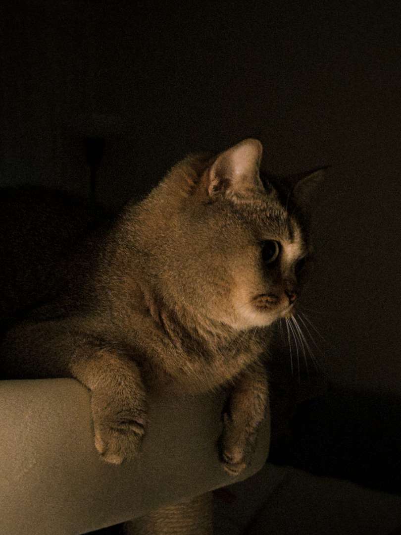 fxn 2025-09-21 22602.581 AM